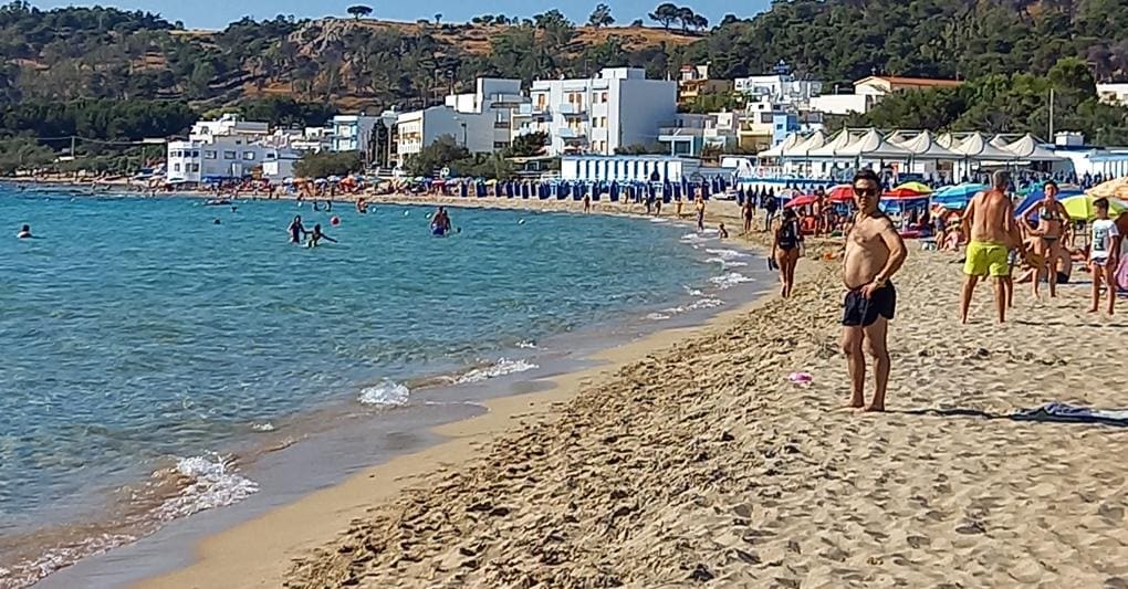 A Lido Conchiglie sorprese in acqua e cozze a tavola Il Sole 24 ORE